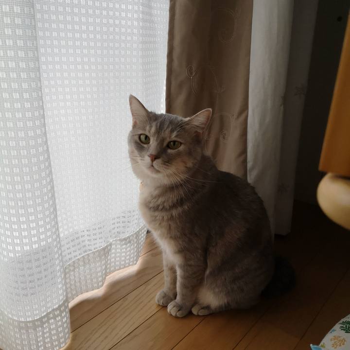 De25df77 1ace 4212 bff5 e16a049397ad 1565079478286