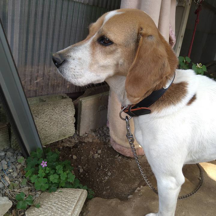 De260852 d4ef 49f9 965a 12c273b267bc 1653730262432