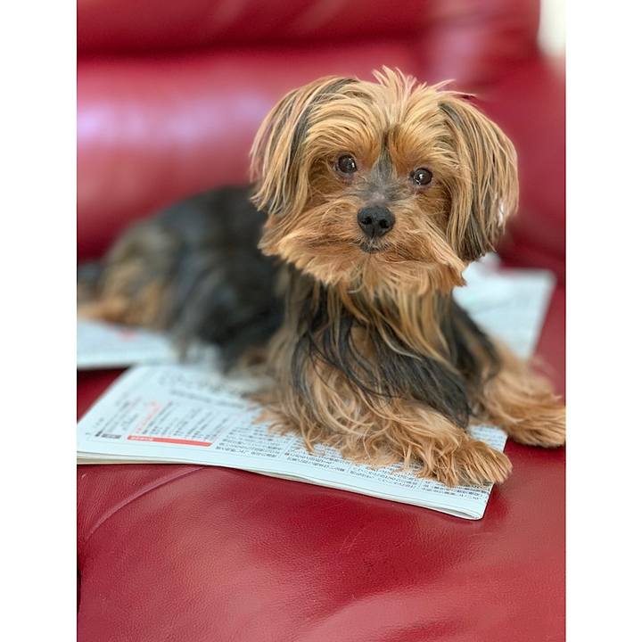 De26147c 770c 47ce 85fd 30d38cb25910 1542410333703