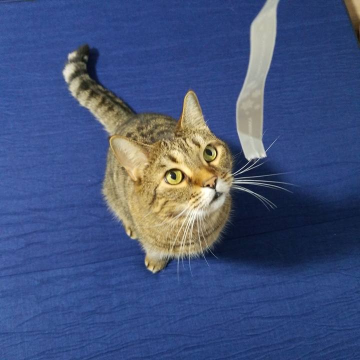 De26433a bfe9 46d0 abce d83590a7c184 1569139233864