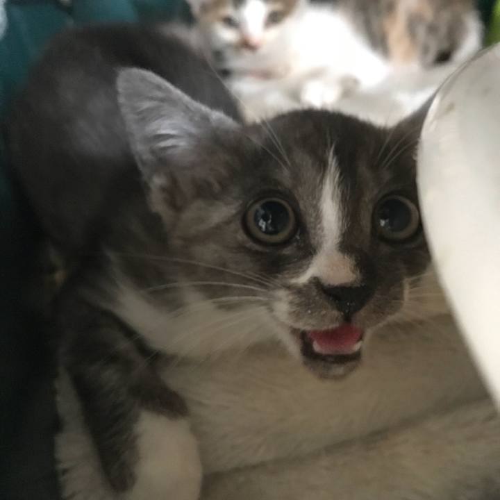 De265659 f87b 4ab9 bea5 df3f6595c59a 1528937821206