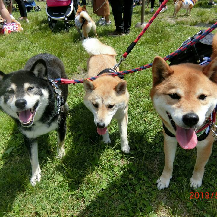 De265883 5fb9 4218 8fa4 2222ac4d524e 1560607090405