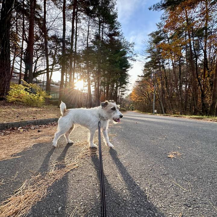 De2665f1 19c9 4456 aa6a b2b5393c7138 1732983678678