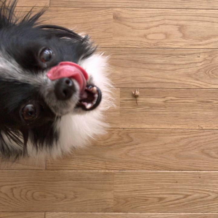 De268656 9efb 4895 bc67 b2feb4e28edd 1509851565995