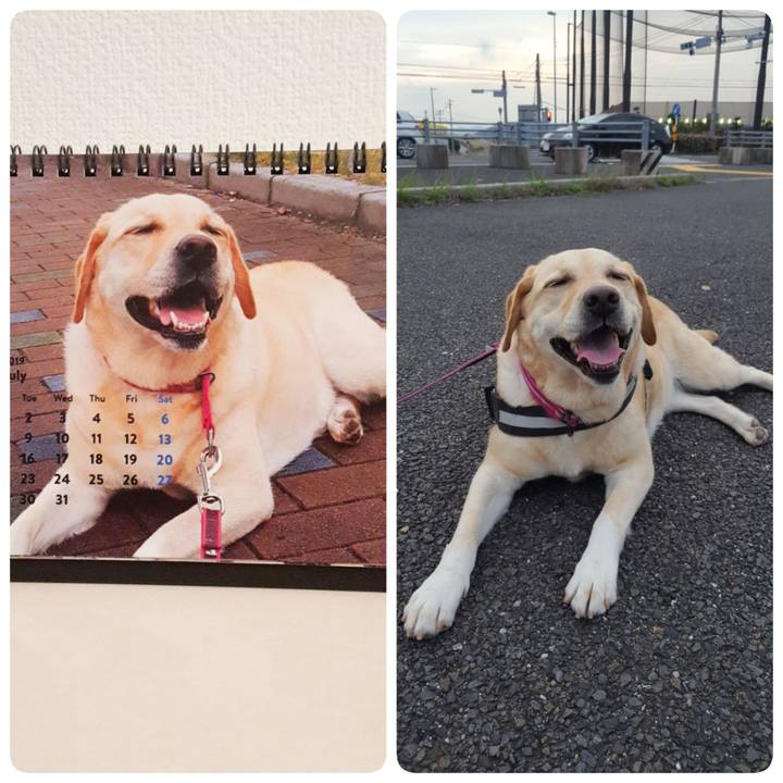 De2686ab 507b 470f 84b2 b61e1c480c19 1561979552711