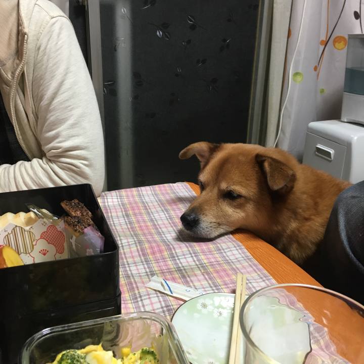 De26bd56 ed4c 4b9d a4ae 66ae38592f87 1514736063774