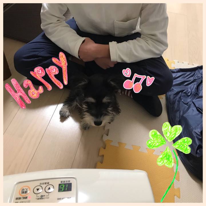 De276a50 00a0 4a37 a309 925d116892b0 1550404891250