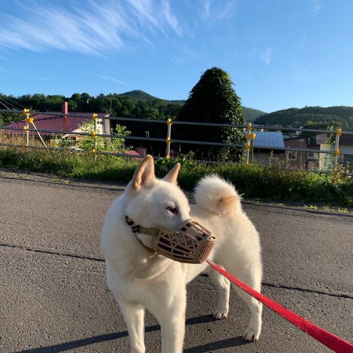 De27766e c8b4 4957 a33d fafde620f06a 1565819563315