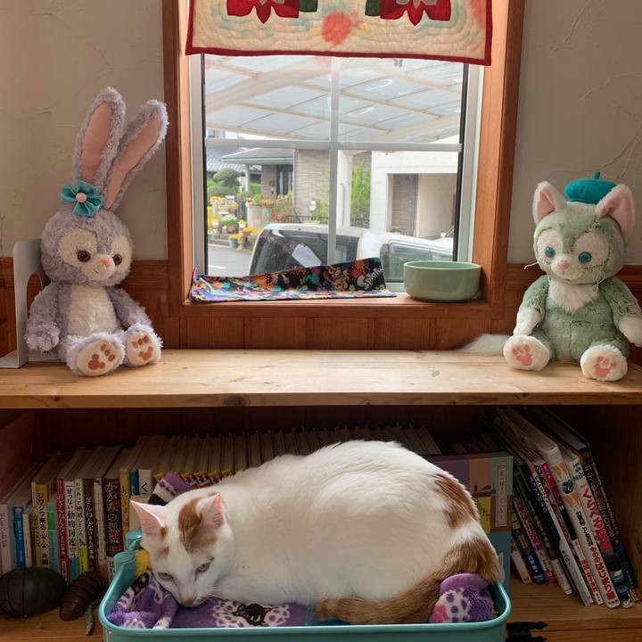 De279227 b260 46a5 beb5 679eb39507e0 1584840359705