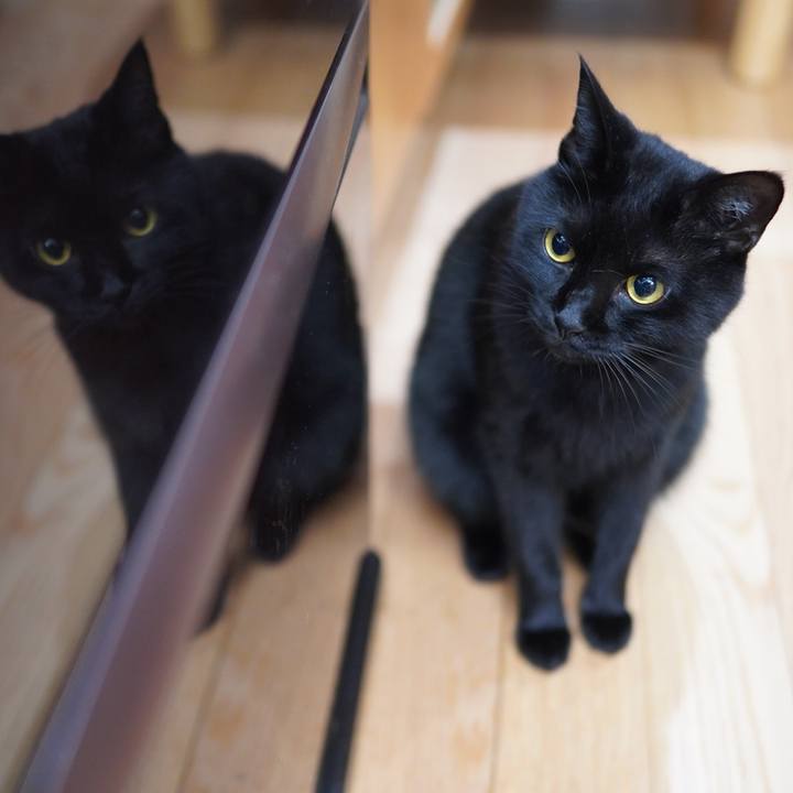 De279fd0 ce5e 4f27 89cc fc1a95da686a 1595944514642