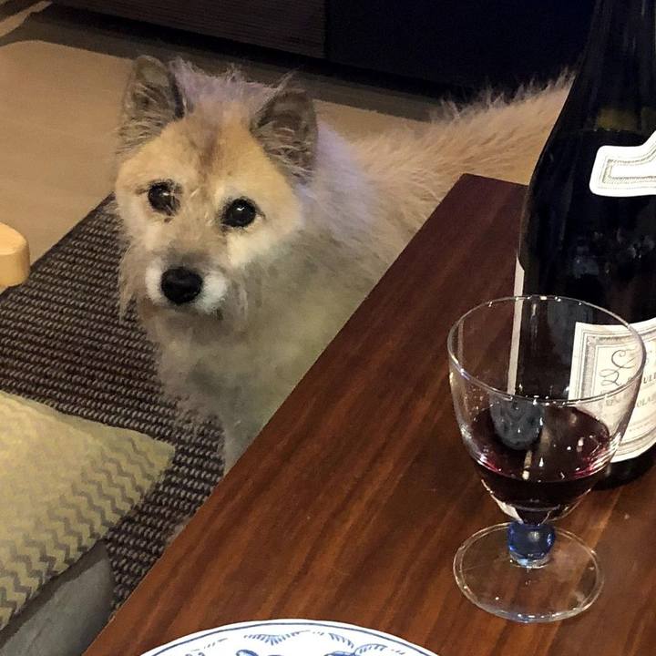 De27e2d4 04d0 4a02 8d93 6361cd143a42 1574515058726