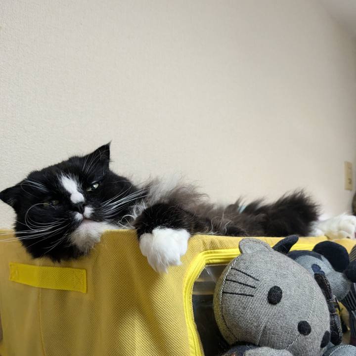 De287d11 7f3a 4ca9 8f66 3e3a125ade7f 1734838070794