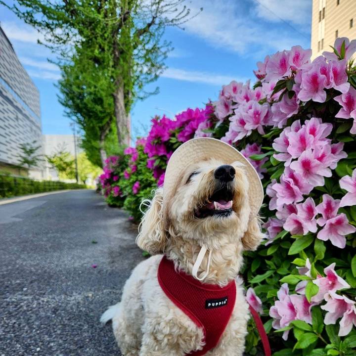 De2882a0 8033 4b20 b7e5 8e122cf40d58 1775982151914