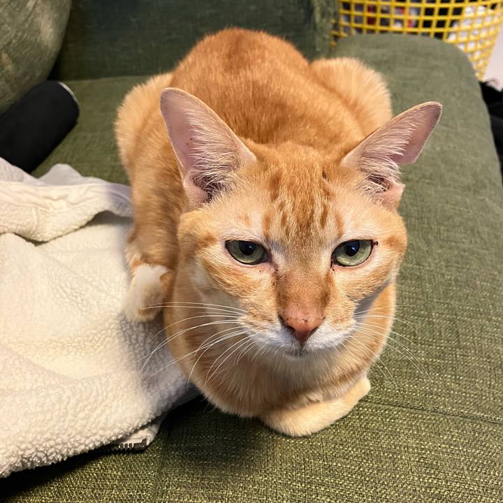 De28b55f 410a 4281 be27 ab7bbe1382b1 1766021815532