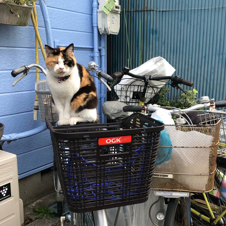 De28ce9b 49fc 4539 97c0 3881d11d3127 1584630343723