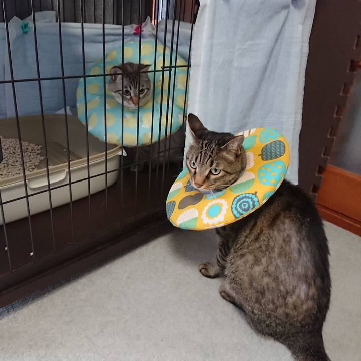 De28db08 a40a 4c19 99eb 96249c3beebd 1562462587411