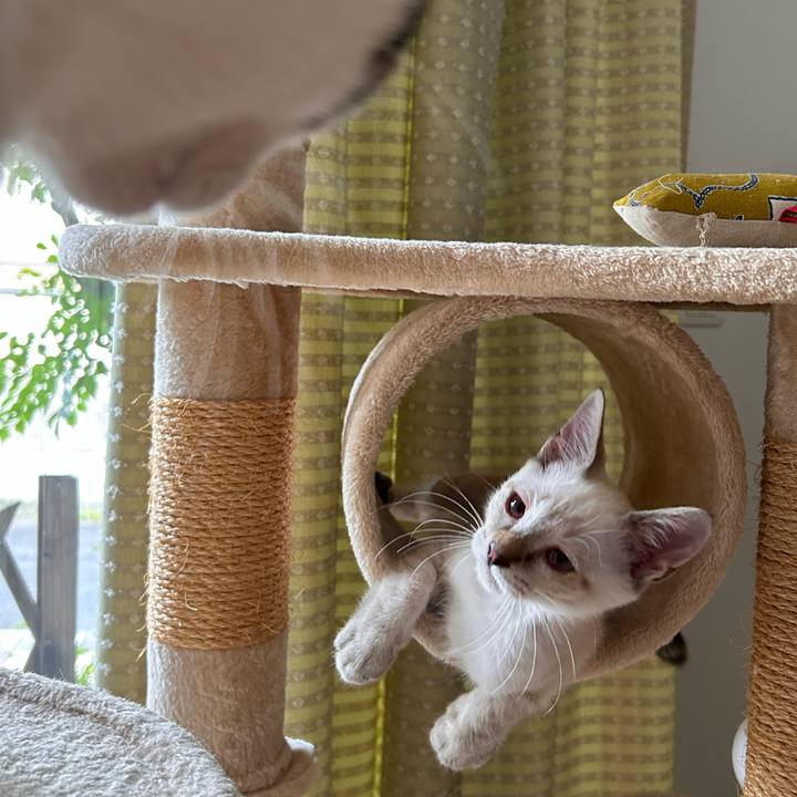 De28f468 9fae 434a a1a0 a83041de17e5 1722584828229