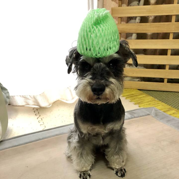 De2909ed 899f 400b 8603 86991be6be01 1647242977948