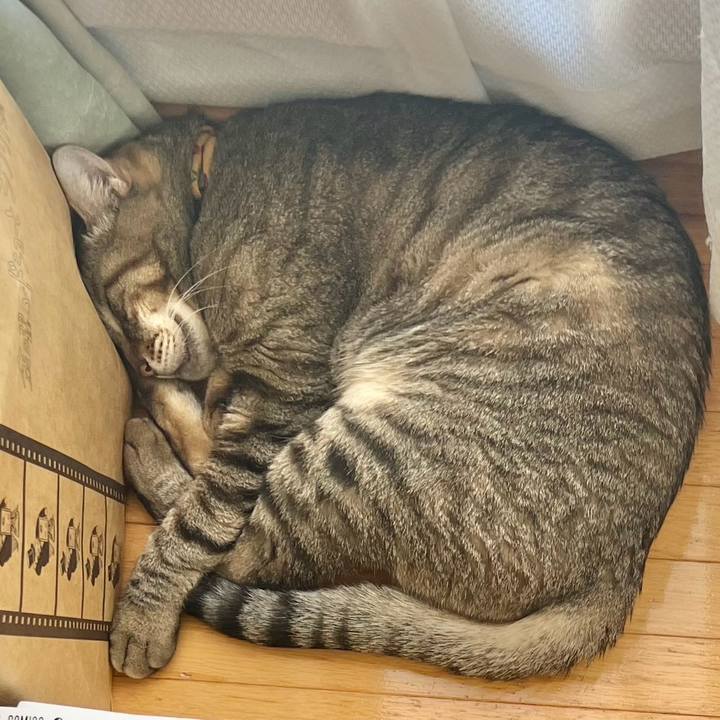 De292ef0 b380 4694 9be3 4c885264ed8e 1760857041990