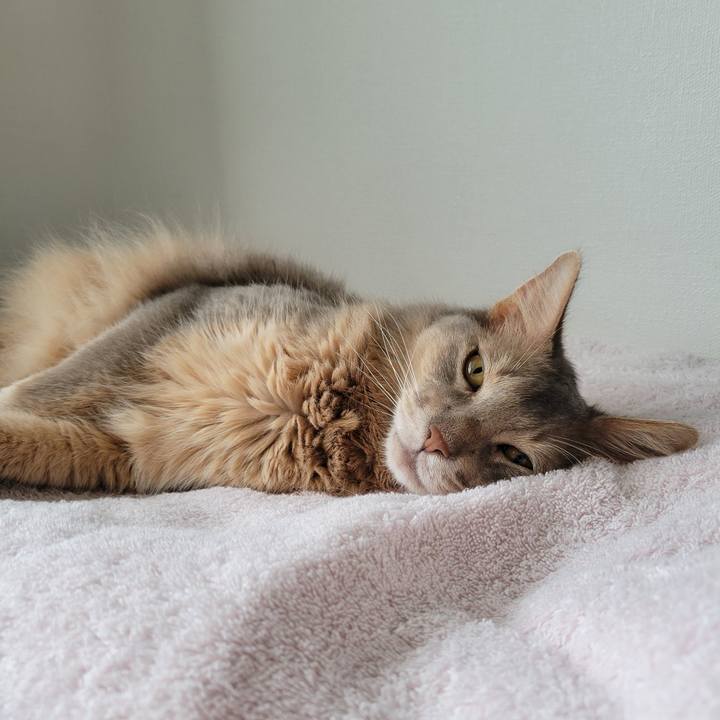 De293e99 6050 4ef7 8d47 f8f5e94f8947 1658462483847