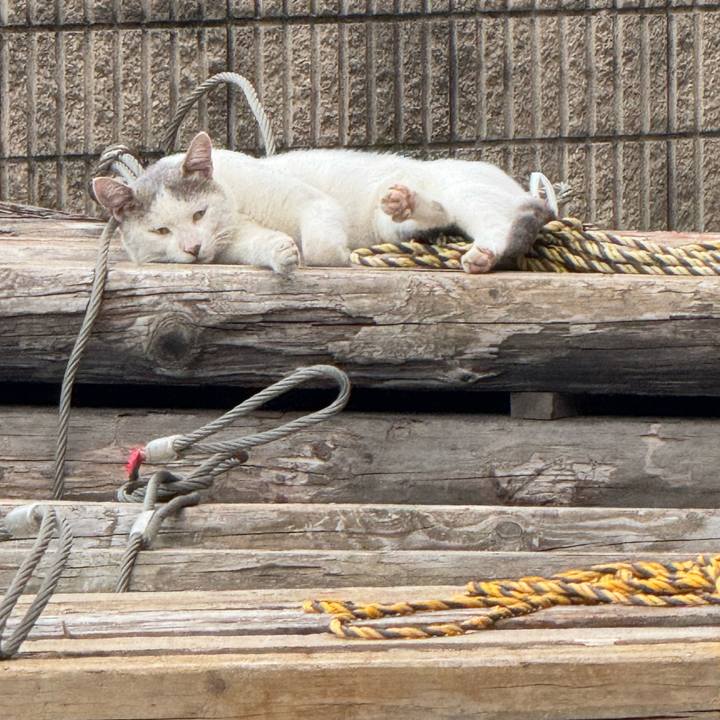 De294def 6e12 4be6 8cf8 db367da27780 1756089271823