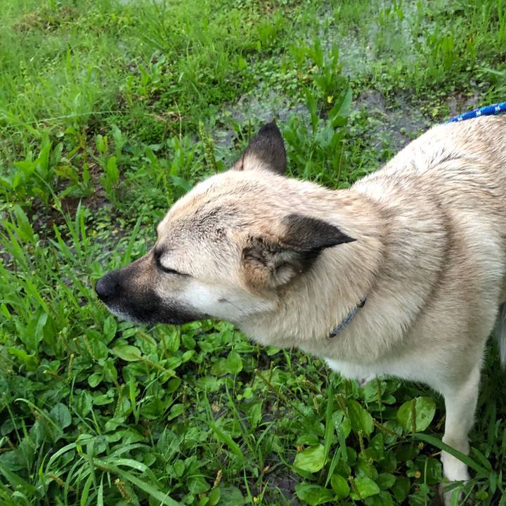 De296cc3 10e4 4a3c 8998 5de74c8ceb37 1530880204230