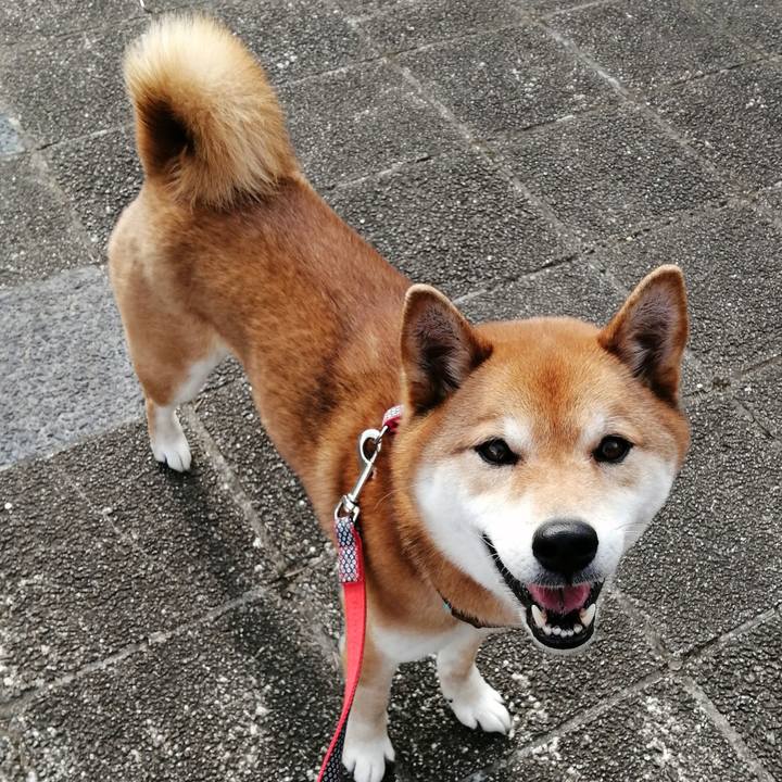 De29a192 21dd 47cd 936d ef753380f93d 1584076244997