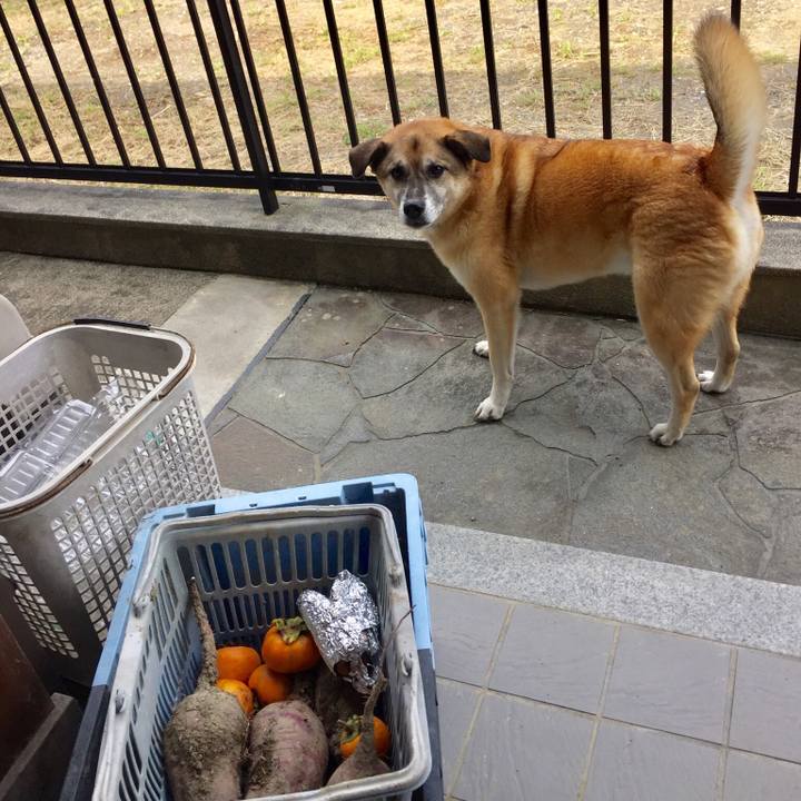 De29b1f2 2c74 4353 9f65 0711488f81dc 1538472461184