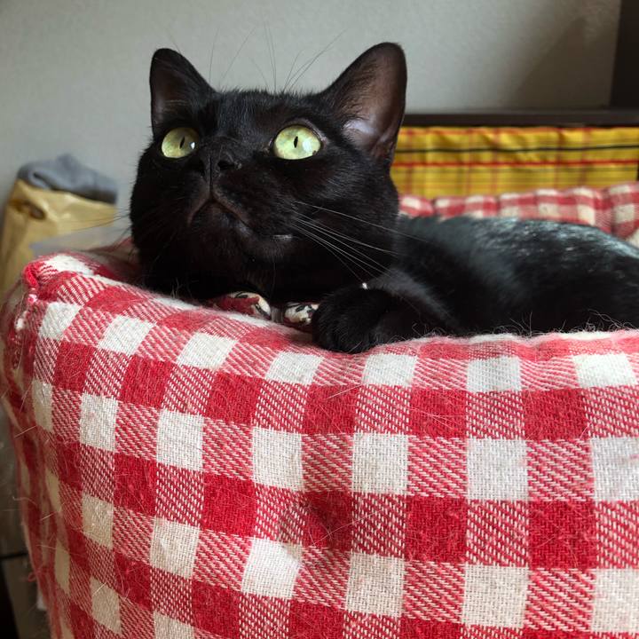 De29d5c1 59ba 463c b3ae e2eee7e07682 1590203542004