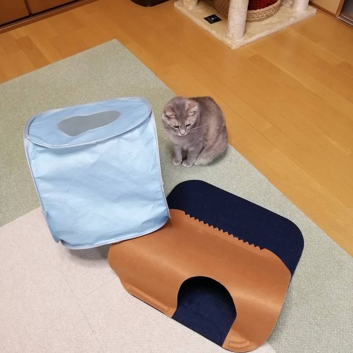 De29dfec eab1 43f0 bfc3 43bc7dd328f3 1613744716780