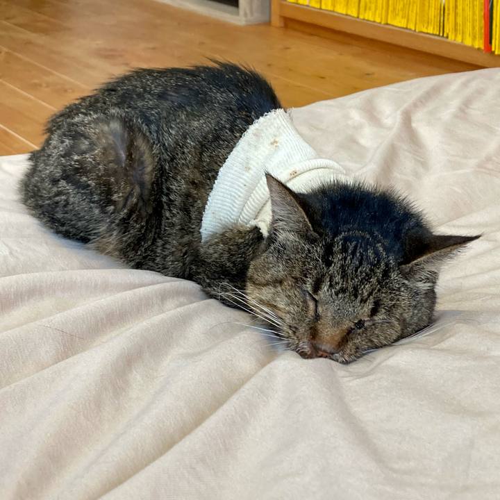 De2a1796 15b6 4375 b8e9 79c1210b8148 1688107974359