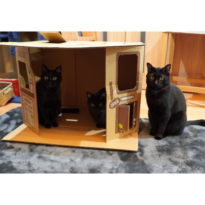 De2a3e1b 154a 423b a225 20edc23c9dd4 1605103969509