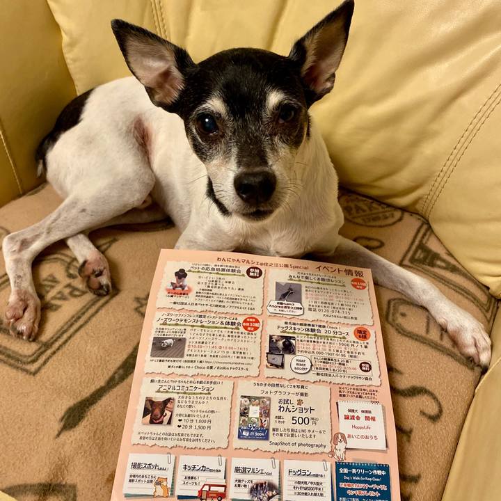 De2a6079 2cb5 4d9a b6cd a55770f4feb4 1602928816744