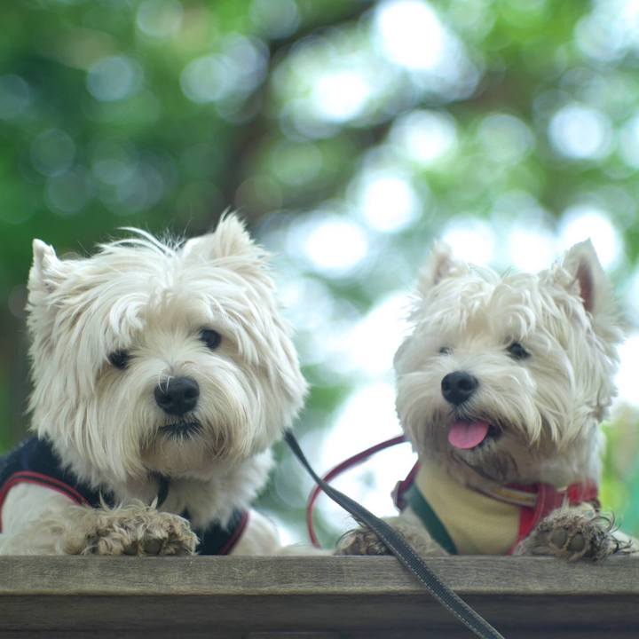 De2a81de 5482 4c7d 8120 0d1b368364ac 1526901954120