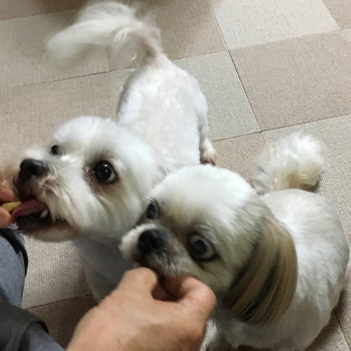 De2a8440 a73e 4a04 afee 338efad691ef 1628595732093