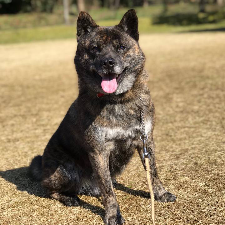 De2aa6df 72d3 4f8a 80a4 f9238d4feb11 1553411545179