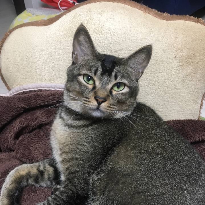 De2ad87a 985d 404e a8ed 5aa7f9544d9a 1507625373991