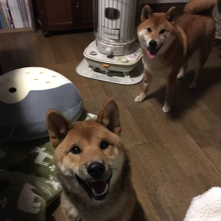 De2ae95c ae2c 4ee7 9ce7 98fafdb0307b 1516919549627