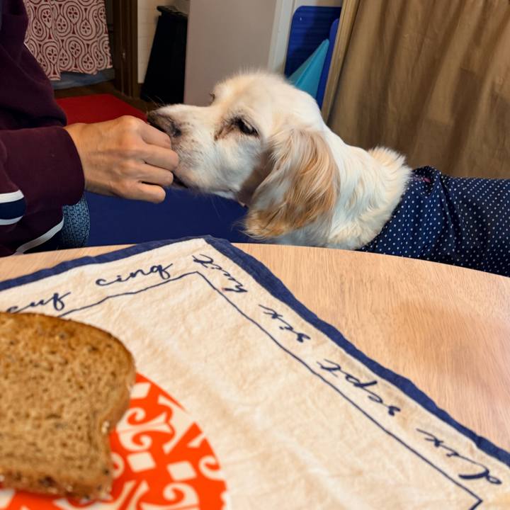 De2aee45 683f 47a3 9305 426754335971 1764109310111