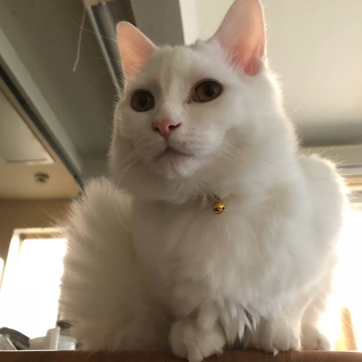 De2af326 6a72 44c3 990b b9c5a06ee2e6 1516748980994