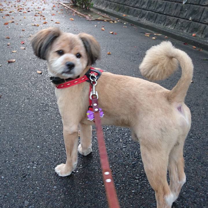 De2afefa 337a 4a52 8e15 b97cc964455f 1623237678493