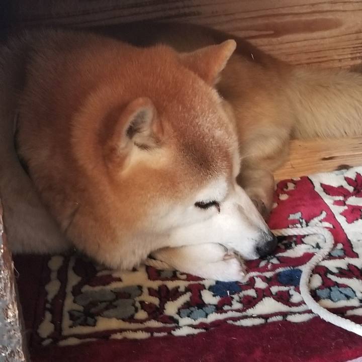 De2b0b0f 6780 43d9 904c 6a9532346444 1650184386871