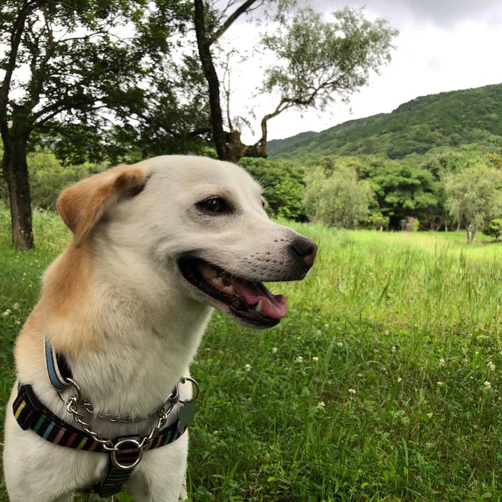 De2b1f0a 2364 4768 b5ab c34996f4f365 1630624347287