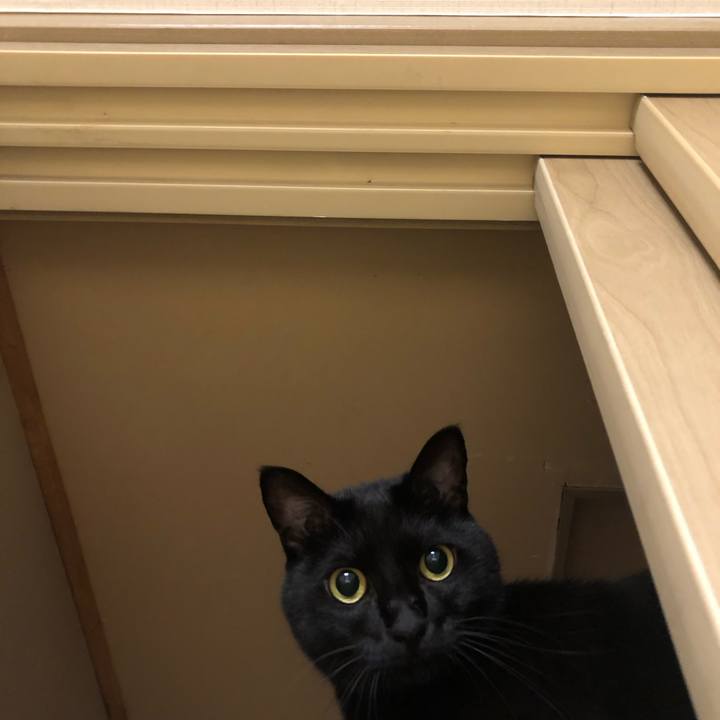 De2b5973 60fe 4a51 9bcd 83c71e6bf510 1602756990859