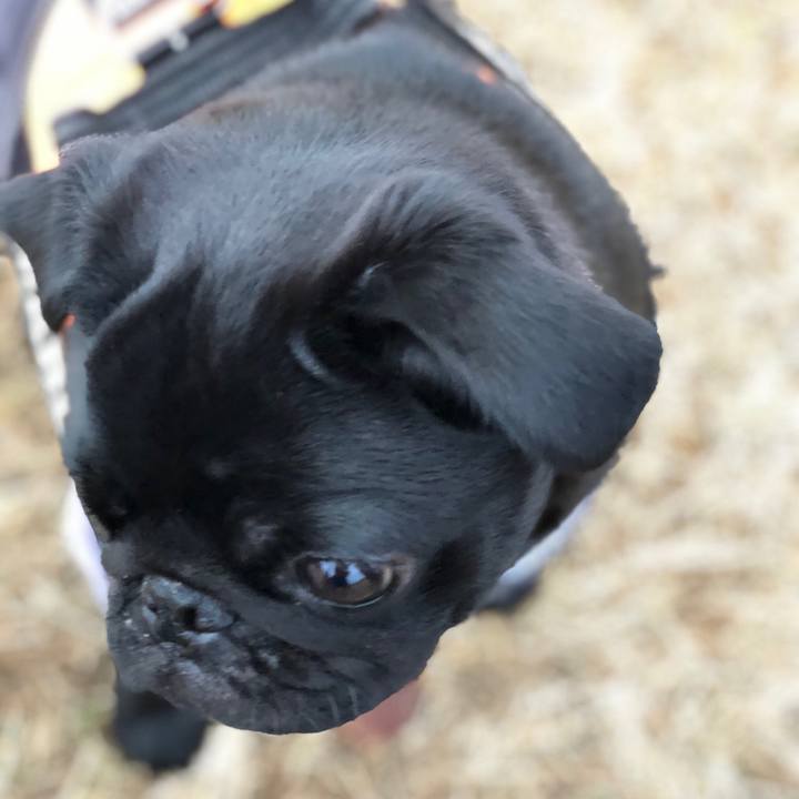 De2ba629 0591 4421 9577 b7055c3e087b 1609284929967