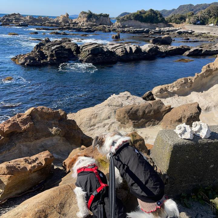 De2bb991 83e1 46aa 8425 1602cb05ece4 1771477301059