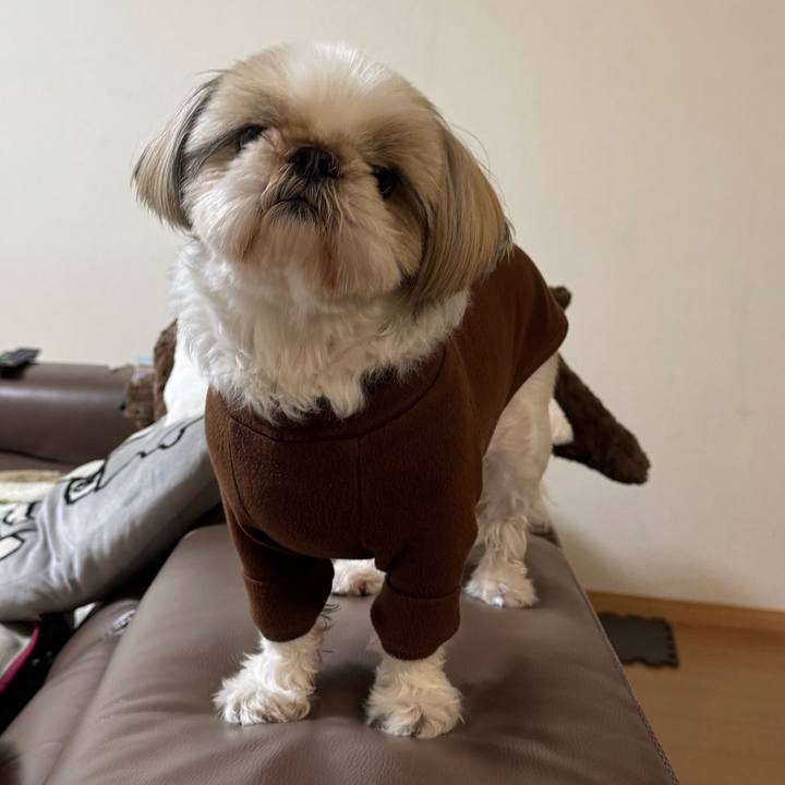 De2bd01e 2dd4 4b44 b9aa f78b62a5be52 1734259794391