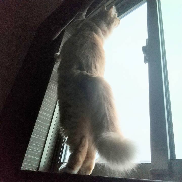 De2c072b 6dab 4e54 b29c 86b522a877ac 1631315804198