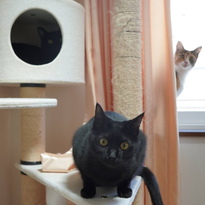 De2c15ea b6b7 40cb ae4b 522a68c9d473 1584921627384