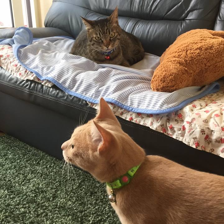 De2c2a8f b28e 460c 8c2a 3e3428fc4fb1 1558264815000